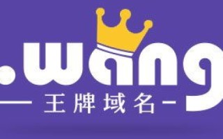 域名，未来网站的数字门牌号