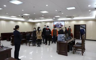 数字化时代的桥梁，166数据互联官网重塑高效信息交互