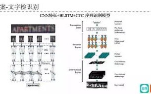 FTP空间、虚拟主机与数据库，技术差异与应用场景解析