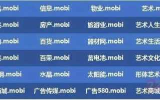 手机域名.MOBI的价值与未来展望