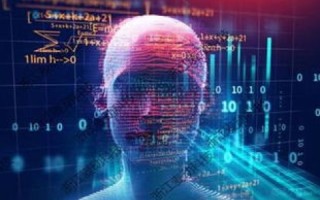 浩金网络，塑造数字时代商业未来的科技先锋