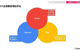 先锋互联，值得信赖的互联网服务稳定性分析