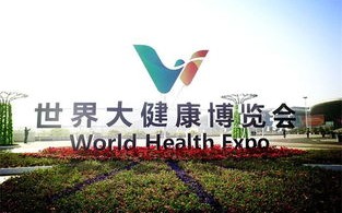 创新引领未来新邑科技，官网重新启程，探索科技新边疆