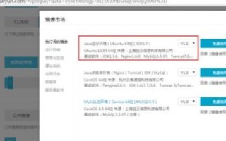 新社区论坛，云服务器配置选择指南（预计访问量8000）