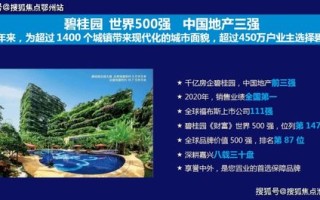 2U服务器托管的价格，全面解析与策略建议