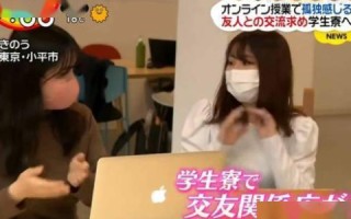 探索京城合租生活，北京合租网的优势与挑战