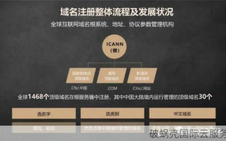 顶级域名，如何高效利用与策略规划