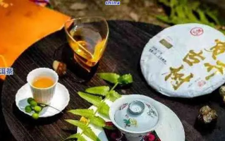 茶猫云，探索云端茶文化的奇妙之旅