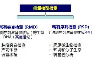 ZKEYS的安全性、稳定性与应用前景