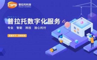 振振网络平台应用体验，探索数字化时代的便捷与高效