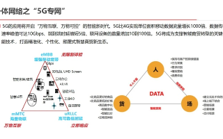 泰网互联，重塑数字时代的信息版图