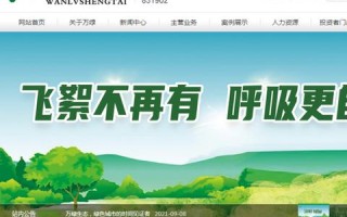 探索.me域名的优势与实用性，一场关于个性化与品牌塑造的旅程