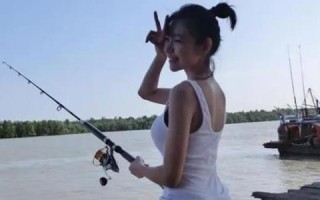 稳定的主机窝，打造网络世界的坚固基石