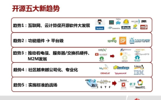 龙祥互联，互联网领域的璀璨新星