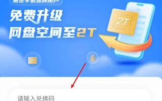 免费ASP空间与免费域名绑定的奇妙之旅
