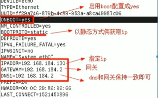 如何取消域名指向IP，详细步骤与注意事项