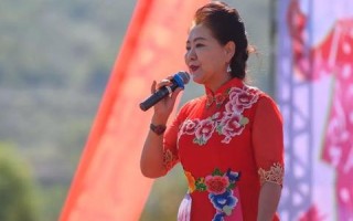 西部数据中心，科技引擎引领的绿色丝绸之路