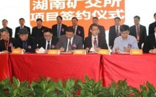 创新域名设计，打造公司网站独特魅力的关键