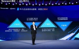 若云科技评测，重塑数字时代的云服务版图