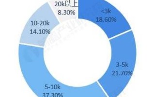 探索华文数据，定义、应用与未来发展的深层次剖析
