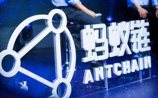 蚂蚁网络，稳定之基与技术创新的前沿探索