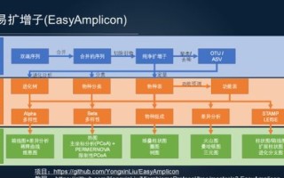 探索圣安娜数据，高效大数据管理工具的优势与实战应用解析