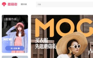 域名注册人，英文行得通吗？
