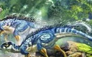 重磅揭秘天宇网络，背后的故事！官方资料大揭秘！