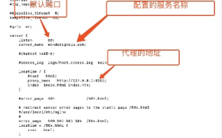 如何获取Nginx反向代理域名