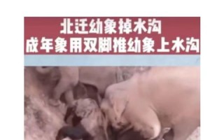 南京鸣谷科技，揭秘评测背后那道光与影