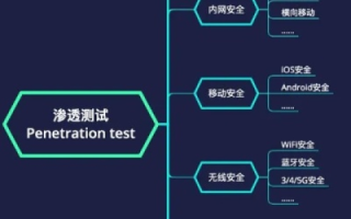 深度解析，雪狼网络评测—揭开网络安全的密雾