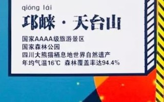世界共振，猎英网络与文化交流的全球化