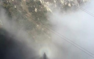 紫天数据奇遇，真实用户反馈与深度剖析