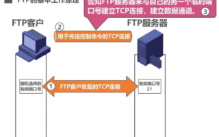 FTP的中文含义，深入解析文件传输协议