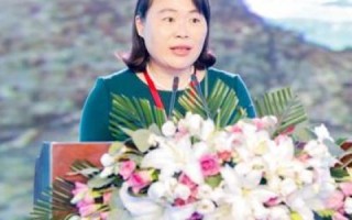猪八戒网，企业服务交易的新生态探索