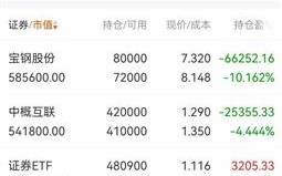 红东网络，稳若磐石—探究其稳定性及用户反馈