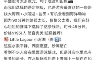 终天网络使用体验，一段难忘的数字之旅