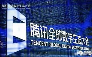 名站互联，重塑互联网生态，共创智慧未来