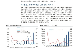 新誉中国新领域的稳定与发展，趋势观察与前景展望