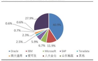 全面剖析巴斯数据评测，精准性、效率性与行业应用深度解析