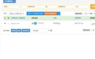 一级域名与二级域名管理差异解析