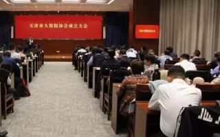 天津大数据发展探析，现状、挑战与未来展望