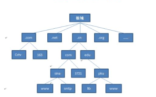 分析机构性质命名的域名后缀的含义
