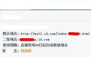 免费二级域名，申请后的闲置与资源利用反思