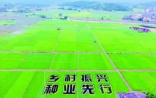 中国稳网是否存在使用过的实例与需求分析