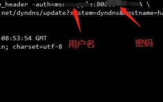 如何架设DDNS动态域名服务器