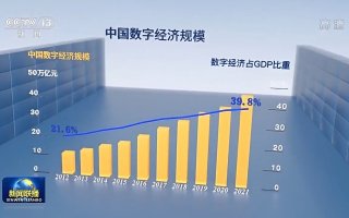 探寻中国帝网背后的数字浪潮与时代变革