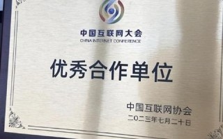 拓展市场影响力，从COM到CN，双域名战略下的企业数字化转型