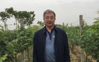 使用过蛋蛋科技的体验，一场科技创新的奇妙之旅