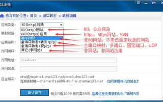 域名要通过端口访问，详细操作指南
